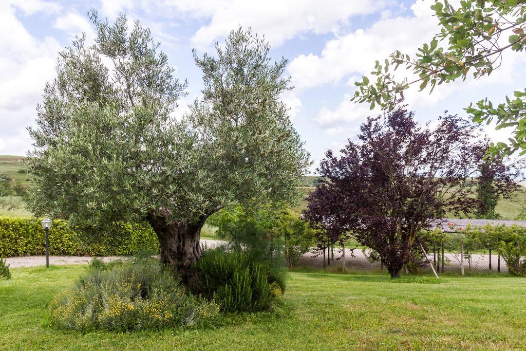 La Leopoldina Holiday Home Montaione Luaran gambar