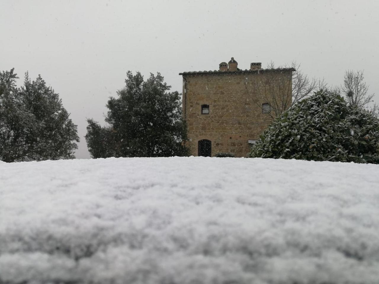 La Leopoldina Holiday Home Montaione Luaran gambar