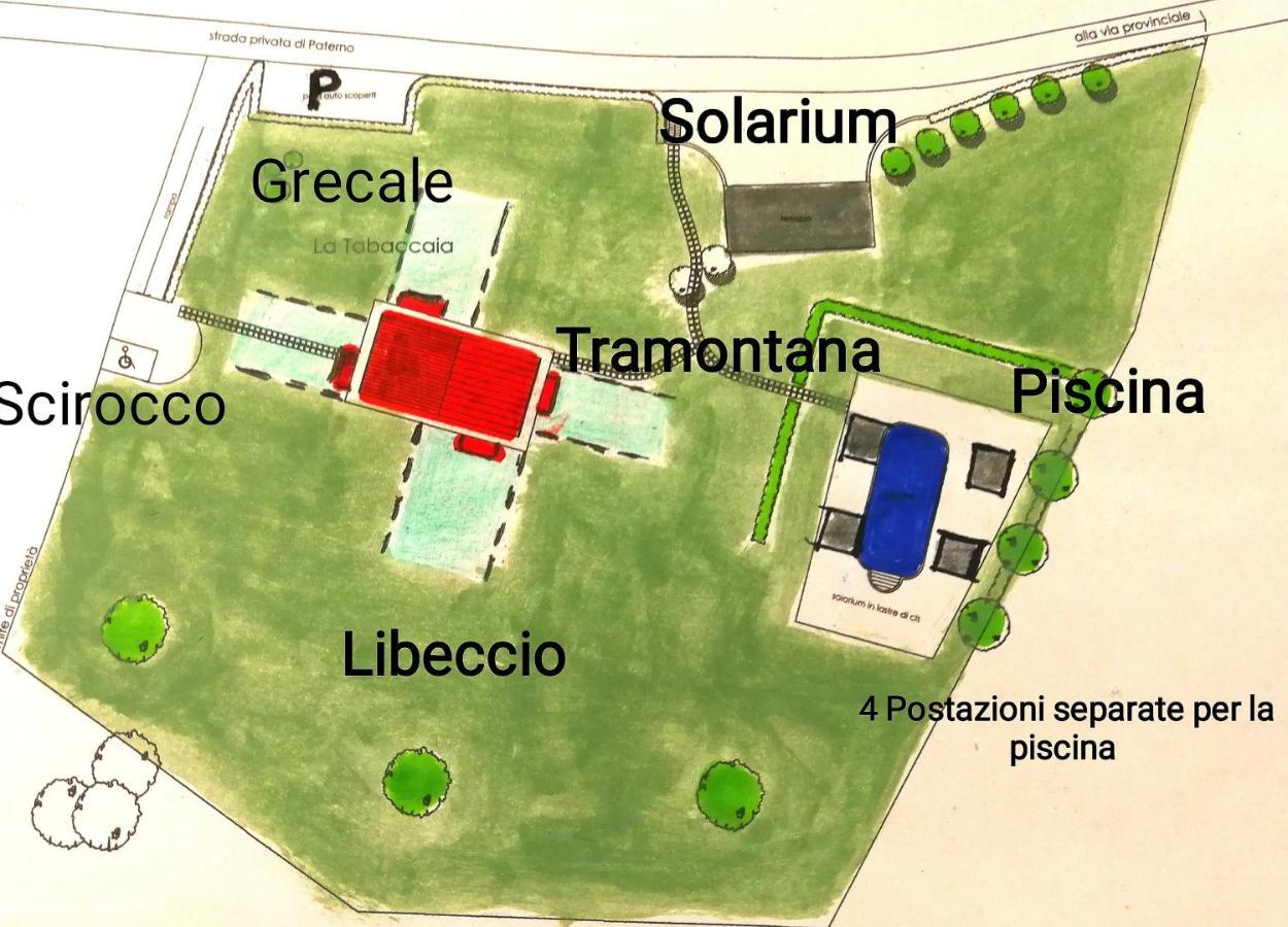 La Leopoldina Holiday Home Montaione Luaran gambar